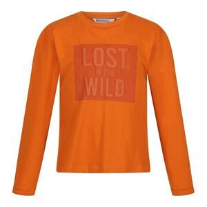 Regatta Childrens/Kids T-Shirt / Autumn Maple